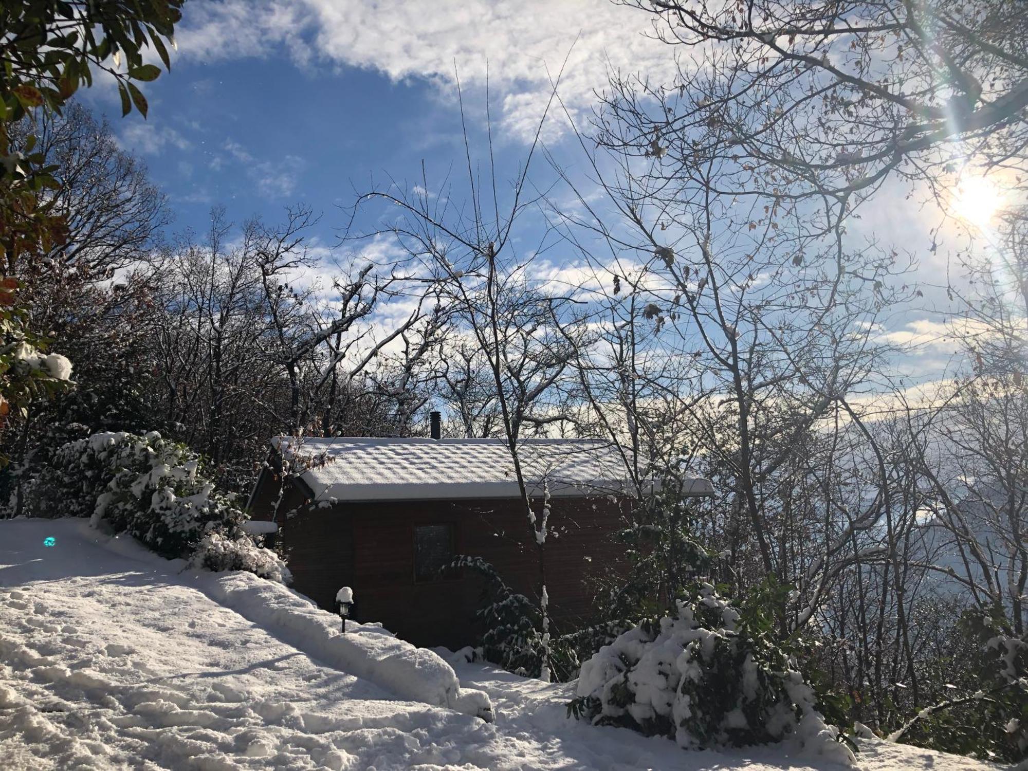 "La Romantica" Rifugio Nel Bosco Astano Eksteriør bilde