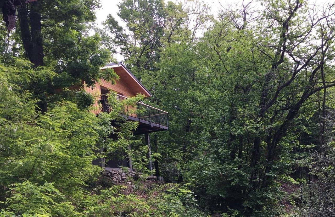 "La Romantica" Rifugio Nel Bosco Astano Eksteriør bilde