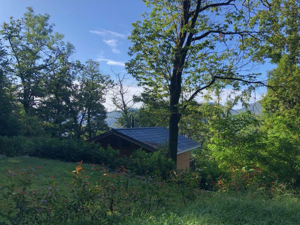 "La Romantica" Rifugio Nel Bosco Astano Eksteriør bilde